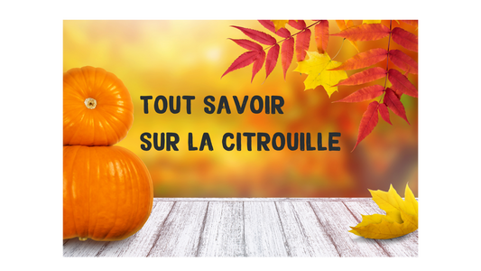 Tout savoir sur la citrouille