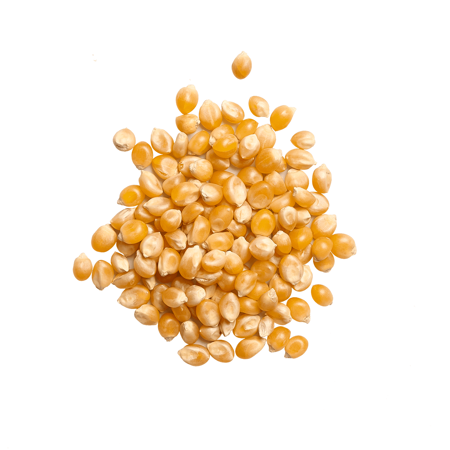 Maïs popcorn Maïs, popcorn Gula 