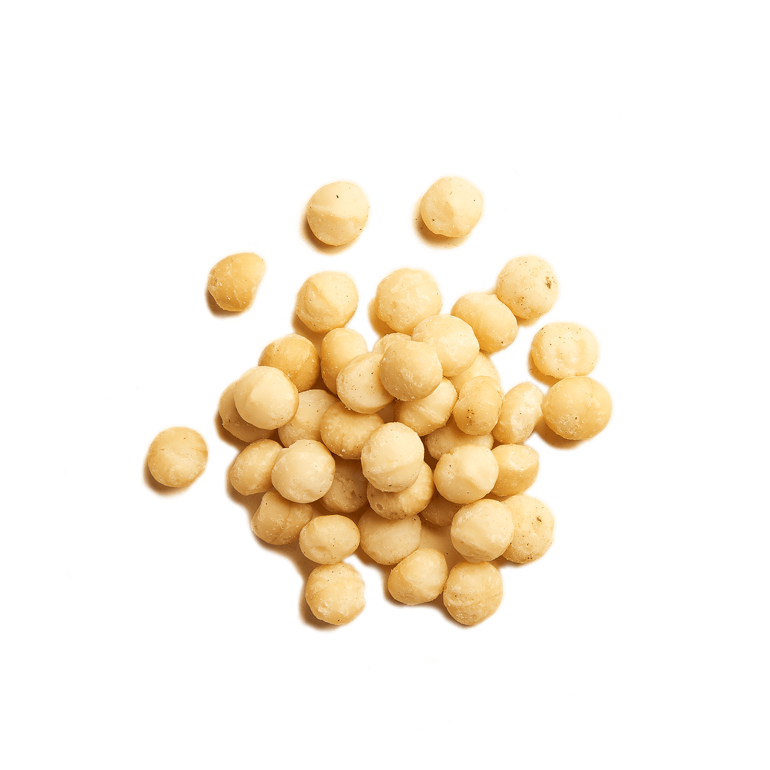 Noix de macadamia natures - Achat, utilisation en cuisine et bienfaits