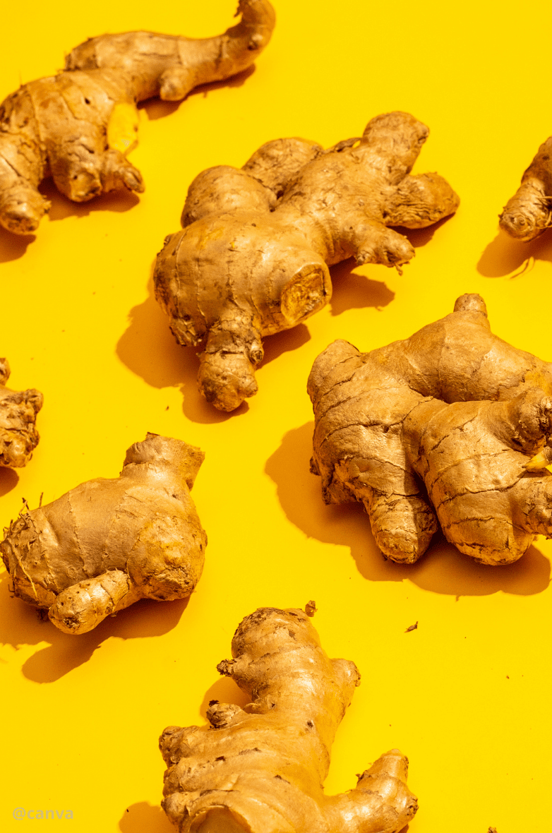 Cubes de gingembre gingembre Gula