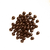 Grains de café aux chocolat noir chocolat, café Gula 