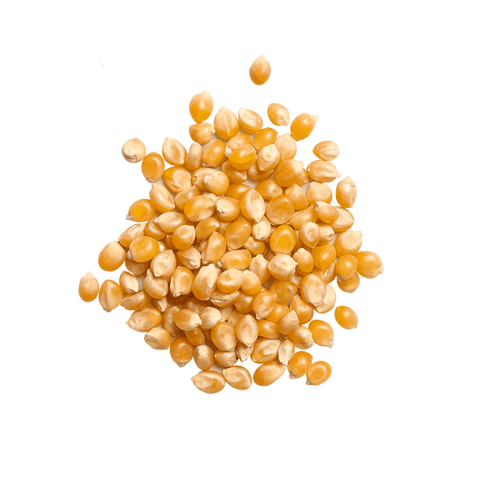 Maïs popcorn Maïs, popcorn Gula