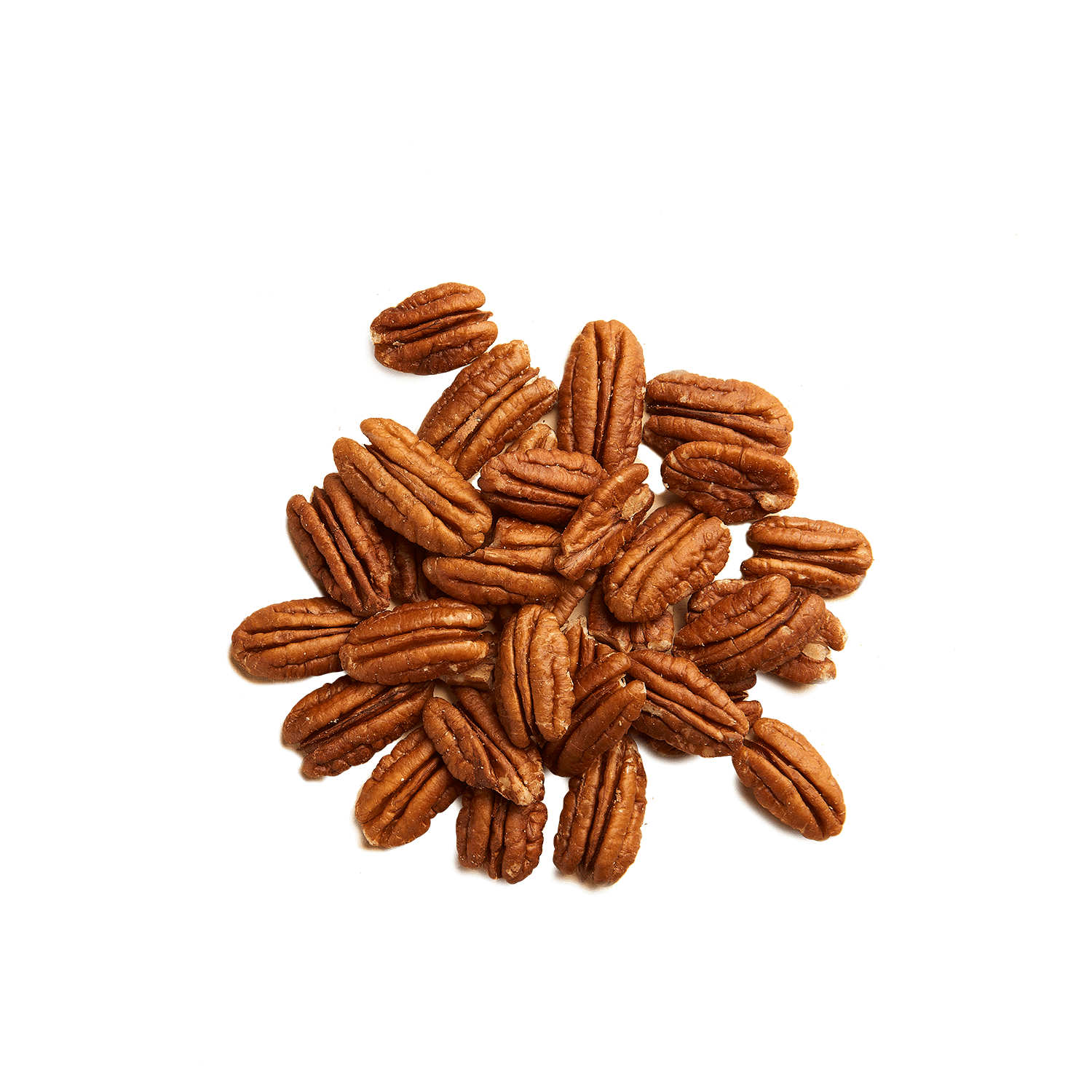 Noix de pecan decortiquees crues nature - Gula