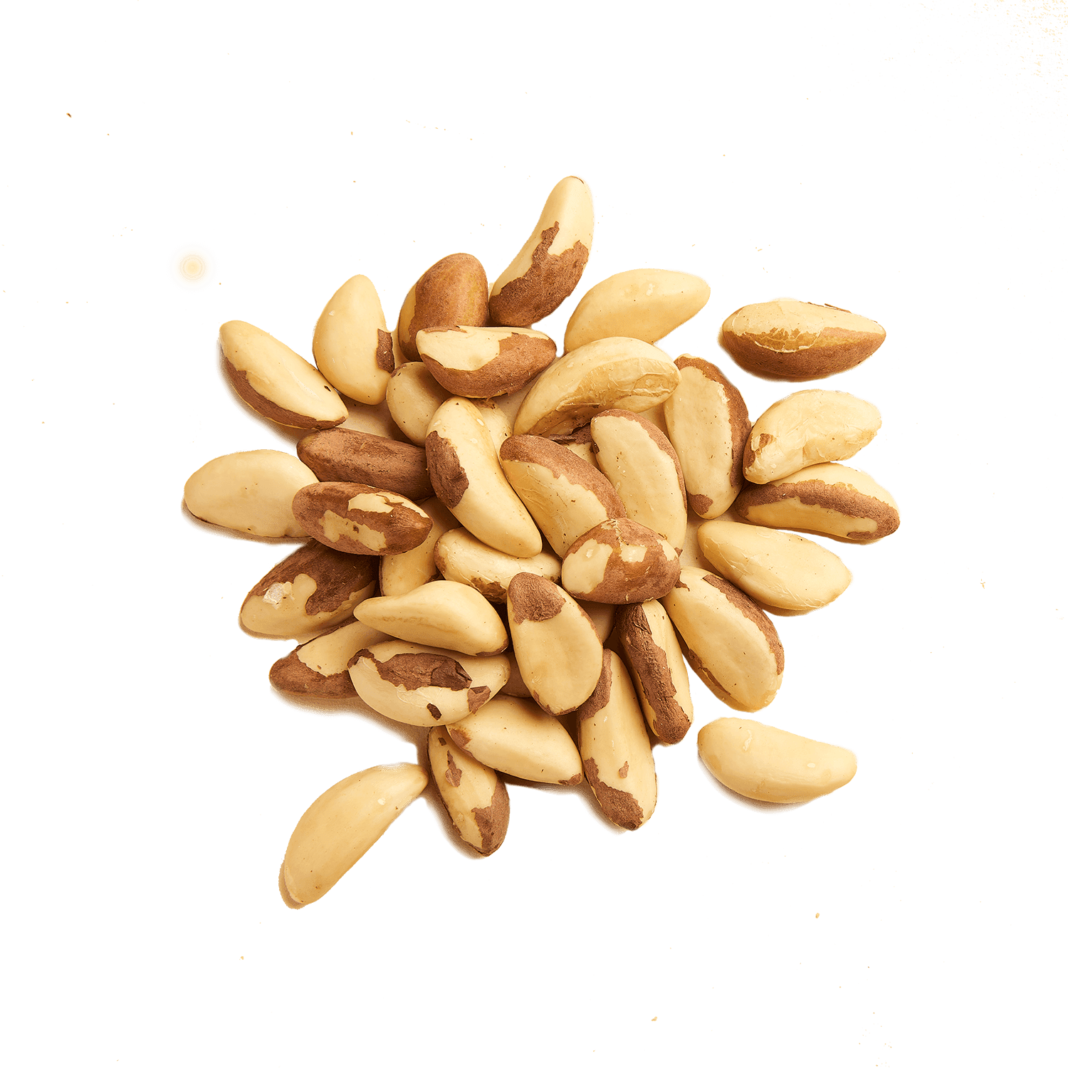 Noix du Brésil Gula 