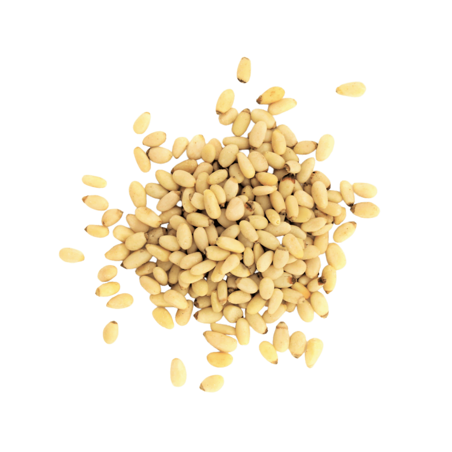 Pignons de pin Pignons de pin Gula 