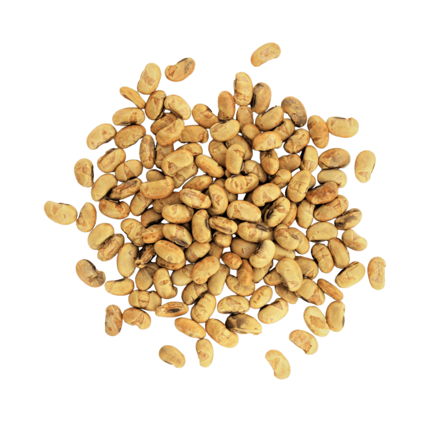 Graines de soja grillées BIO Soja Gula 
